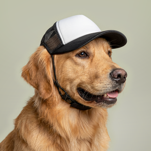Sun Valley Lake Community Dog Trucker Hat