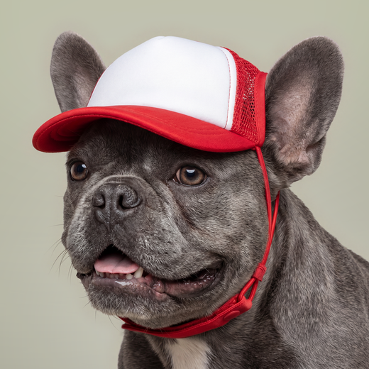 Sun Valley Lake Community Dog Trucker Hat