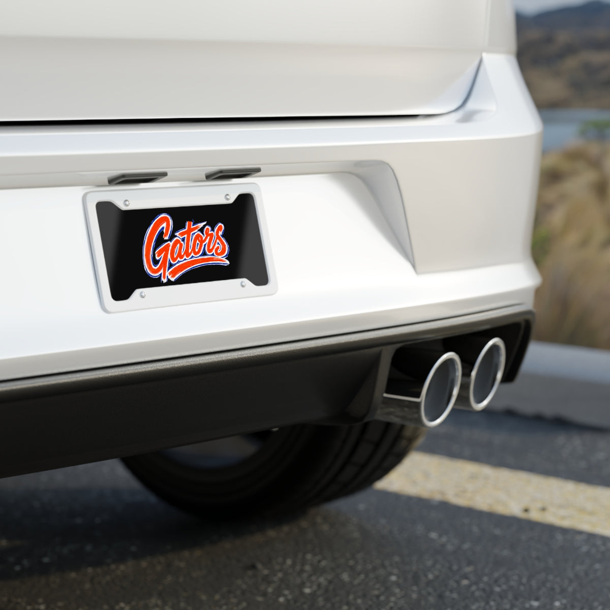 Florida Gators License Plate
